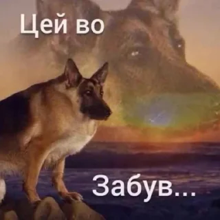 Sticker український слей🌟 - 7