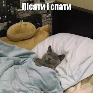 Sticker український слей🌟 - 4