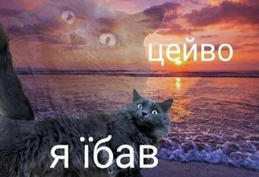 Стикер українізовані стікеро4ки🤩 - 7