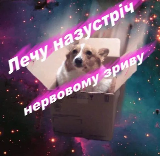 Стикер українізовані стікеро4ки🤩 - 5