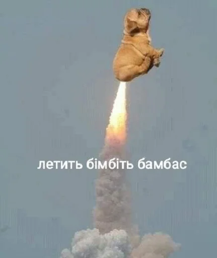 Стикер українізовані стікеро4ки🤩 - 1