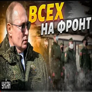 Стикер лиси хуї - 11