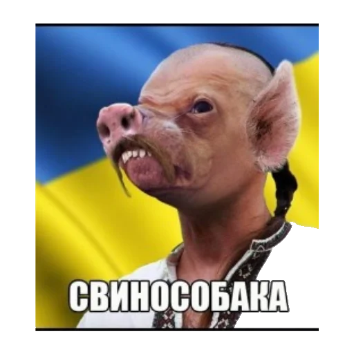 human face man wrinkle