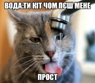 Стикер шалені укроприколи 🤯 [by @saba4ara] - 8