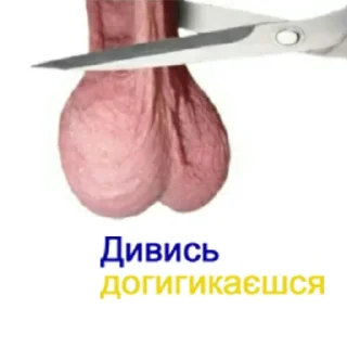 Стикер шалені укроприколи 🤯 [by @saba4ara] - 11