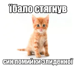 Стикер шалені укроприколи 🤯 [by @saba4ara] - 6