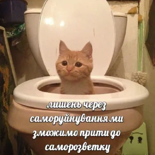 Стикер шалені укроприколи 🤯 [by @saba4ara] - 2