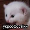 укрсофостіки - 