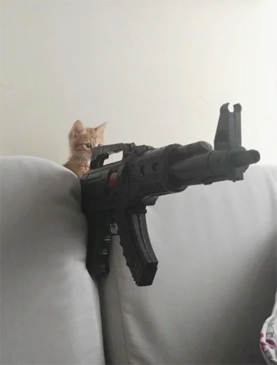 cat indoor weapon