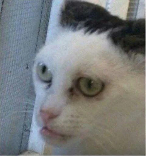 Sticker укр стікери другий приход - 9