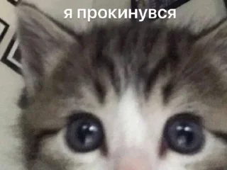 Sticker ненавиджу думати - 6