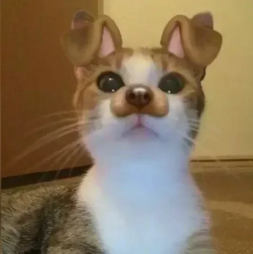 Sticker ulEJOLWuD_by_stickers_stealer_bot - 1