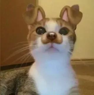 Sticker Больше стикеров 👉🏻 @stickertg4 - 2