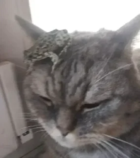 Sticker Больше стикеров 👉🏻 @stickertg4 - 8