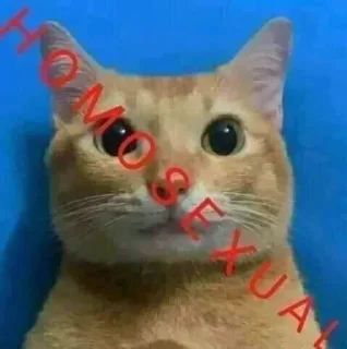 Sticker Больше стикеров 👉🏻 @stickertg4 - 11