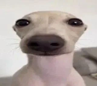 Sticker мокарчик - 6