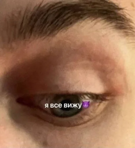 closeup eyelash organ