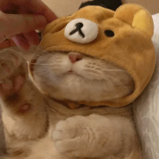 Стикер Cats cats Cats @TechShreyash - 11