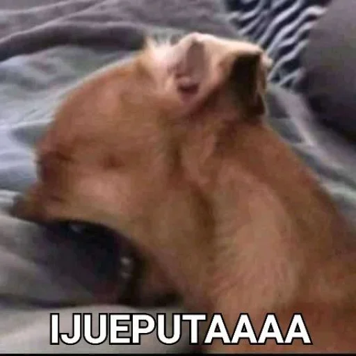 @AnderHope's Pack 1 - 