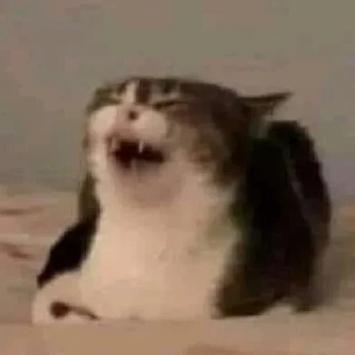 Стикер ult_1748451464_1 - 1