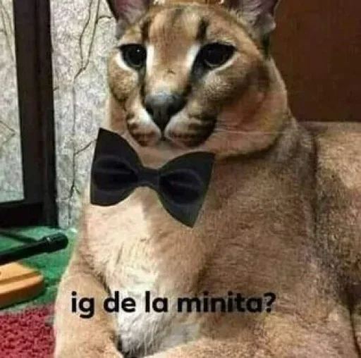 Sticker ult_1748451464_1 - 1