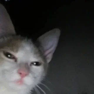 Sticker @AnderHope's Pack 1 - 0