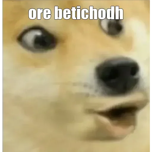 Sticker ult_805202993_1 - 1