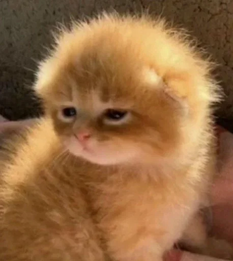 Стикер ultramegakrutoenazvanie_228 :: @fStikBot - 11