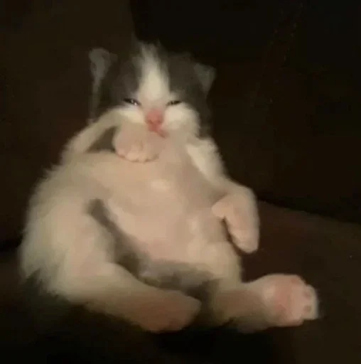 Стикер ultramegakrutoenazvanie_228 :: @fStikBot - 9