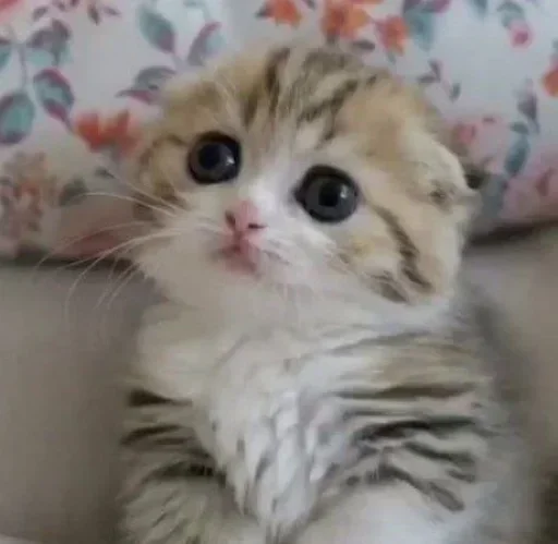 Стикер ultramegakrutoenazvanie_228 :: @fStikBot - 7