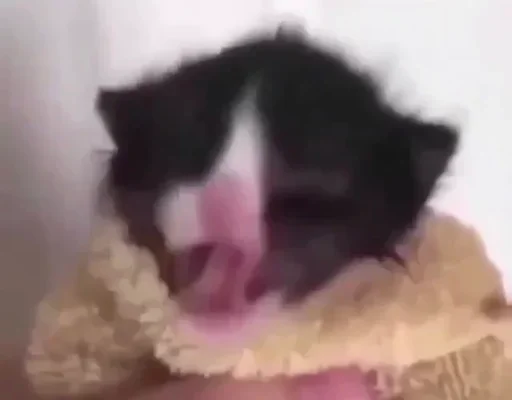 Стикер ultramegakrutoenazvanie_228 :: @fStikBot - 4