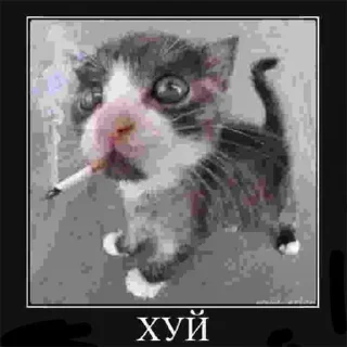 Sticker ультраржомба v.5 - 2