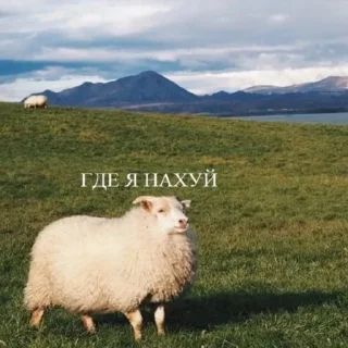 Sticker ультраржомба v.5 - 6