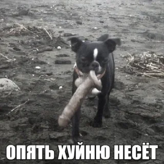 Sticker ультраржомба v.5 - 9