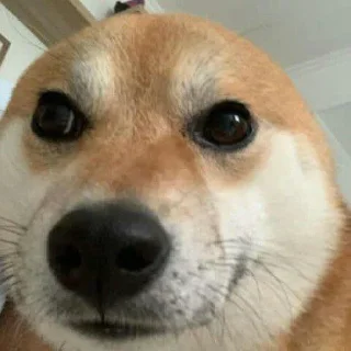 Sticker ультраржомба v.5 - 0