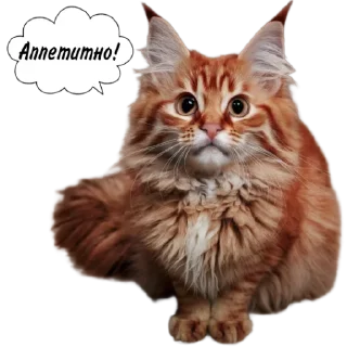 Sticker Рыжие коты 👉 @umamari - 6