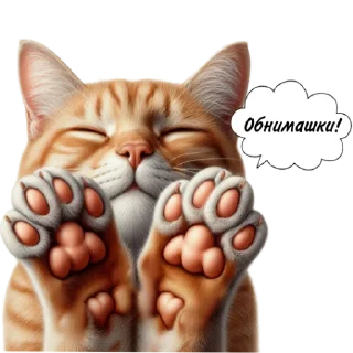 Sticker Рыжие коты 👉 @umamari - 9