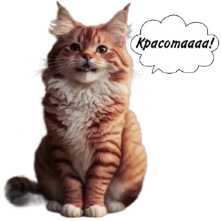 Sticker Рыжие коты 👉 @umamari - 10