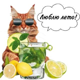 Sticker Рыжие коты 👉 @umamari - 1