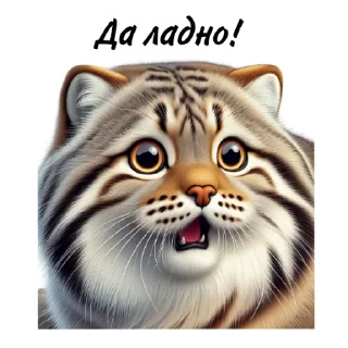 Sticker Манул от @umamari - 3