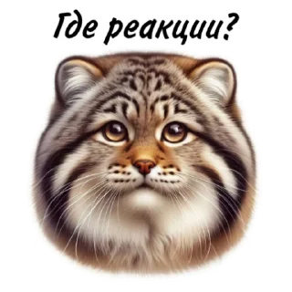Sticker Манул от @umamari - 7