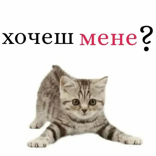 Sticker під речовинами - 11