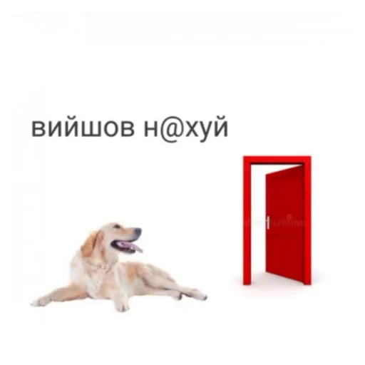 Sticker під речовинами - 4