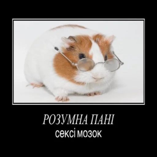 Sticker під речовинами - 2