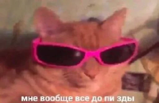 аксессуар очки кошка