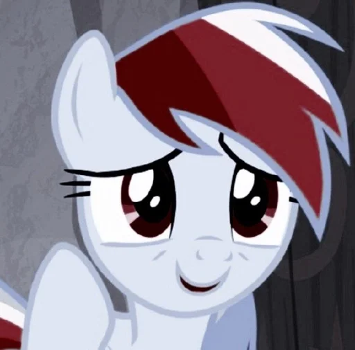 Стикер 🍣 :: рэйнбоудэш. @sunnhelp :: @fStikBot - 8