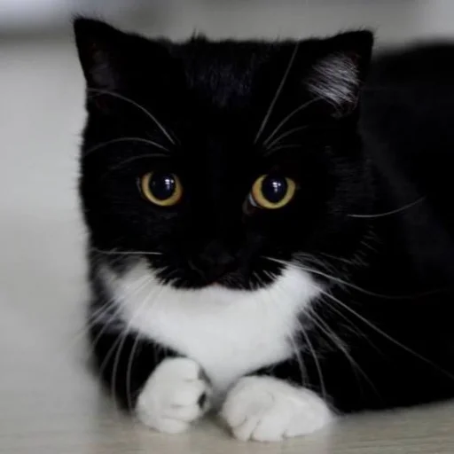 Sticker uniposting - 1