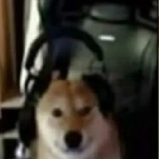 Sticker unyhbg_by_stickers_stealer_bot - 1