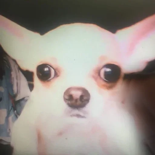 Sticker unyhbg_by_stickers_stealer_bot - 1