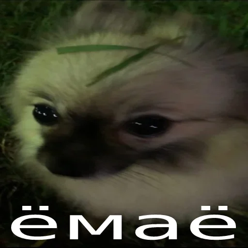 Sticker unyhbg_by_stickers_stealer_bot - 1